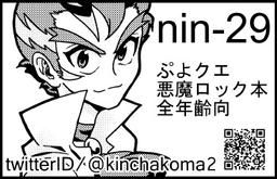 nin-29