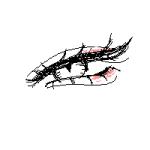 イラスト
